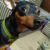 FB_IMG_1585711239228