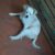 FB_IMG_1601040400745