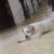 FB_IMG_1601040403065