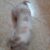 FB_IMG_1601040394889