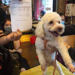 z2192275352933_5d3dce65c1798751a12d1355e586df21