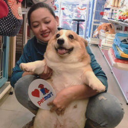 Pet Shop Tân Phú - Siêu thị thức ăn, đồ dùng cho thú cưng