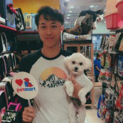 Shop thú cưng Mỹ Đình - Thức ăn, đồ dùng chó mèo nhập khẩu chính hãng
