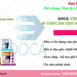 dai-ly-thuc-an-cho-meo