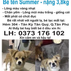 CDD53D50-F291-4029-82E3-FA60A2AD3CF6
