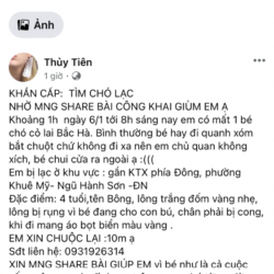 63163333-F496-45E8-9B87-1A20914A9EBD