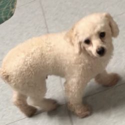 C553E605-2A7D-4AF4-B60B-8D9A3B30375A