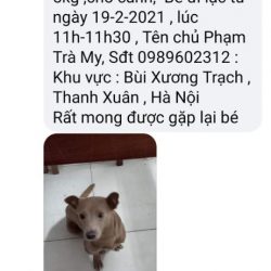 Screenshot_2021-02-20-07-58-30-84