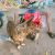 received_873780283163055 received_873780283163055
