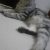 FB_IMG_1616656789028 FB_IMG_1616656789028