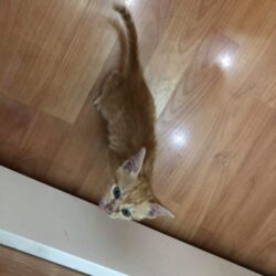 received_1411292945884772