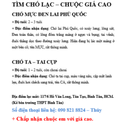 Tìm chó