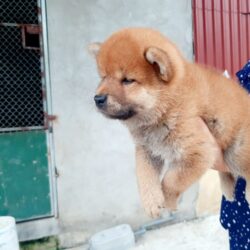 z2508769226915_8baf1b2243ce13ea72bd5602d3b7d8bb