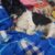 received_880157076048650 received_880157076048650