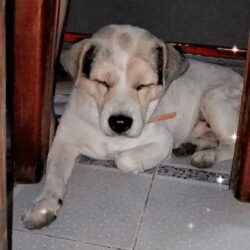 IMG_20210508_202852_186