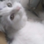 received_1070587883461363 received_1070587883461363