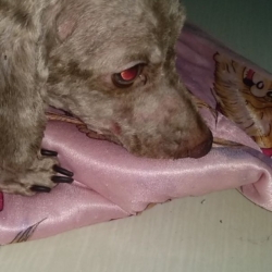 IMG_20210623_200754