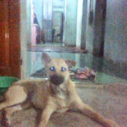 Photo0325