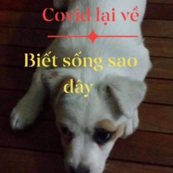 bi_1