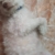 received_355083972838481
