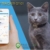 dinh vi cho meo gps pet tracker gt01 dinh vi cho meo gps pet tracker gt01