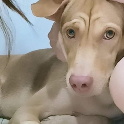 FB_IMG_1633682560599