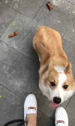 Ben