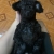 4AEE0F24-DB41-4DF1-A4E5-1F1E1F3711DC 4AEE0F24-DB41-4DF1-A4E5-1F1E1F3711DC