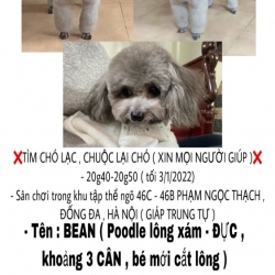 0B73AE3F-1B63-49CB-9873-A52AC9F2470A