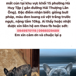 0D0E8AF5-F1DF-4ADC-BD4D-87C839A52FD8