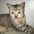 EB674225-FB6A-4E26-BFF1-D1056F4CC717