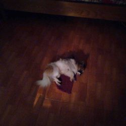decomp_IMG_20220501_211059_737.jpg1652860900715