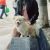 received_454272493237641 received_454272493237641