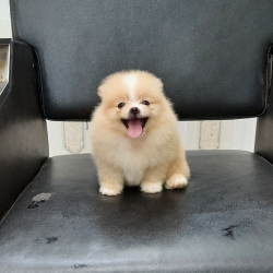 be