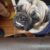 received_1182691328992076 received_1182691328992076