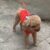 snapedit_1677368544727 snapedit_1677368544727
