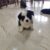 z4095259243627_31f146adbfe608f496dde5d18b543e9d z4095259243627_31f146adbfe608f496dde5d18b543e9d