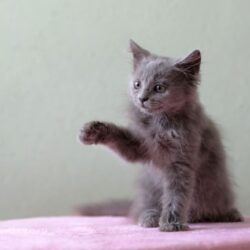 IMG_6644