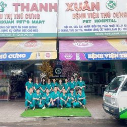 banner-small